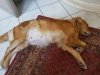 Sunny Entspannt 2 Sunny Entspannt 2